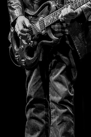 Blondie's Guitar Player 2