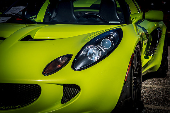 Lotus