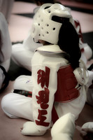 Taekwondo Sparing Gear
