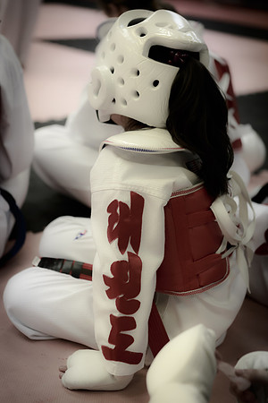 Taekwondo Sparing Gear